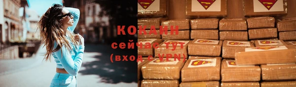 spice Горняк
