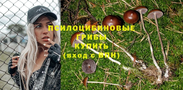spice Горняк