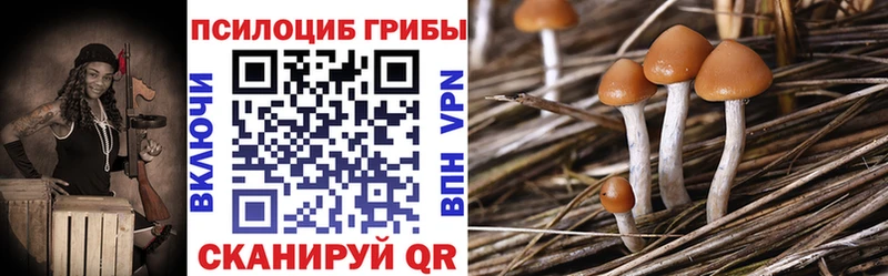 Купить  Луховицы  Псилоцибиновые грибы ЛСД 